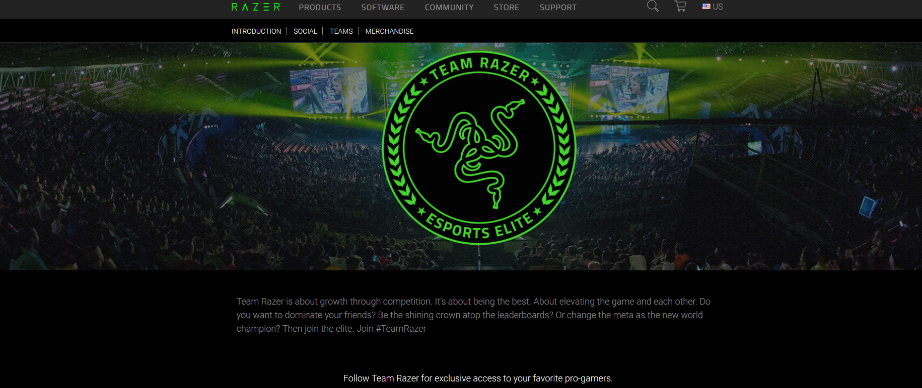 RAZER DEVINE PARTENERUL TEAM KINGUIN